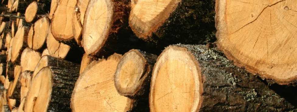 #htmlcaption-51 Bourse foncière : Forêts à vendre en Limousin