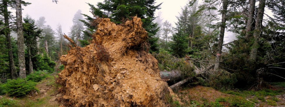 #htmlcaption-1153 Dégâts Tempête