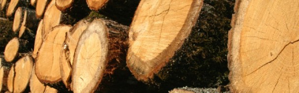 Echéancier de la fiscalité forestière annuelle