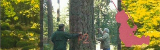 3ème Fête de la Forêt 3ème Fête de la Forêt