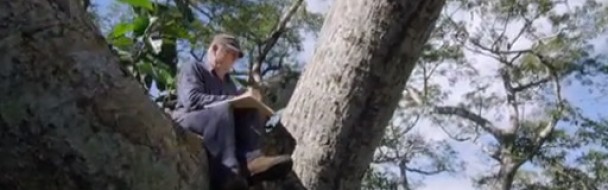 Pétition en faveur de la gestion durable des forêts Pétition en faveur de la gestion durable des forêts