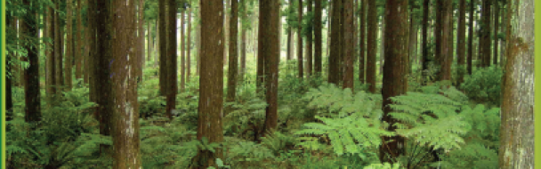 Plan d’action interministériel  et contrat de filière forêt-bois 2018-2020 Plan d’action interministériel  et contrat de filière forêt-bois 2018-2020