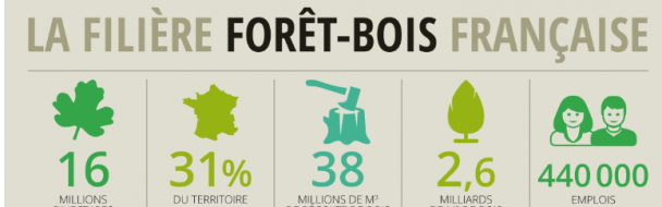 Infographie – La filière forêt-bois en France
