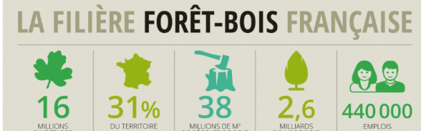 Infographie – La filière forêt-bois en France Infographie – La filière forêt-bois en France