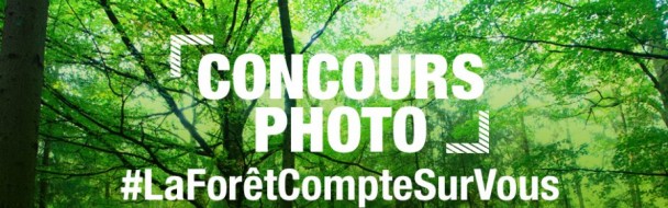 PEFC lance un concours international destiné aux passionnés de photographie… et de forêts !