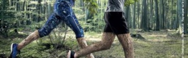 LA FORET BOUGE – Le coach numérique des propriétaires forestiers LA FORET BOUGE – Le coach numérique des propriétaires forestiers