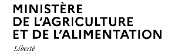 COVID 19 – Lettre d’encouragement et de reconnaissance de M. le Ministre à la filière bois forêt COVID 19 – Lettre d’encouragement et de reconnaissance de M. le Ministre à la filière bois forêt