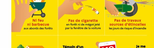 Halte au feu ! Du bon sens et des bons gestes Halte au feu ! Du bon sens et des bons gestes
