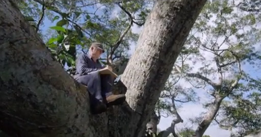 il-etait-une-fois-la-foret