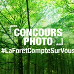 PEFC-concoursphoto-FB-2-925x610