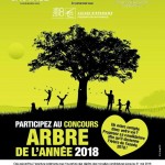 arbre annee 20018