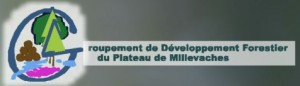 GDF MILLEVACHES