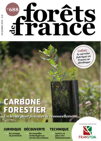 Forêts de France - novembre 2025 N°688 -Carbone forestier - UN LEVIER POUR FINANCER LE RENOUVELLEMENT