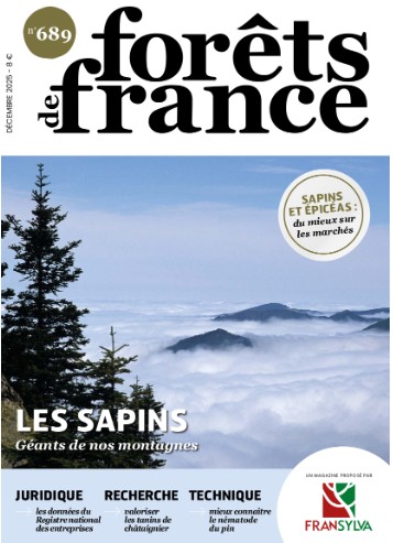 Forêts de France - Décembre 2025 N°689 - Les sapins GÉANTS DE NOS MONTAGNES